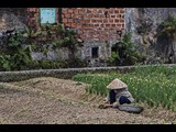 010 - Planting Rice - Northern Vietnam