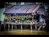 033 - The Plant Shop - Mekong Delta - Vietnam